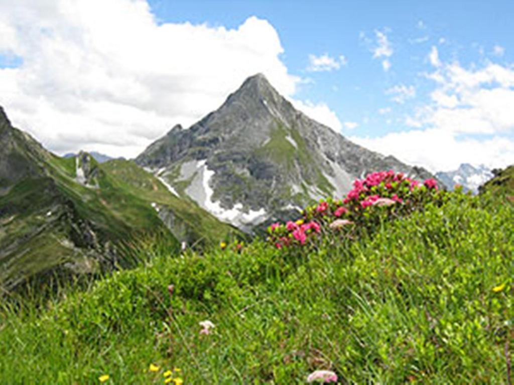 Gaestehaus Alpengruss Mayrhofen Bagian luar foto